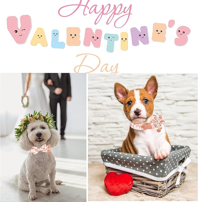 UP URAR PUP Valentine's Dog Collar With Bowtie for Puppy Girl Boy Dog or Cat, Gift Collar With Metal Buckle, Wedding Dog Collar, White, XS