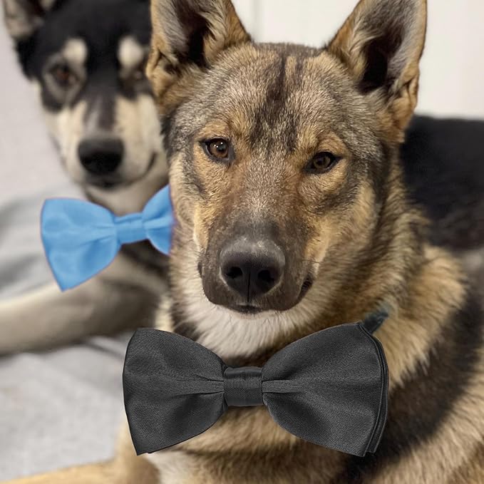 KOOLMOX Light Blue Dog Bow Tie, Black Dog Bowties with Adjustable Collar for Medium Large Dogs Cats Pets Wedding Birthday Graduation Independence Day Homecoming Grooming, 2 Pack, Black and Light Blue