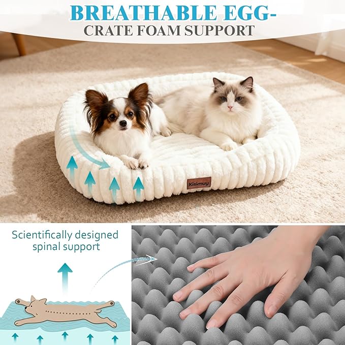 Dog Bed for Small & Medium Dogs – Calming Furry Puppy Bed with Washable Removable Cover, Anti-Slip Bottom & Orthopedic Support Foam, Rectangle Pet Cuddler for Indoor Cats/Dogs, 25"x21"x4", Cream