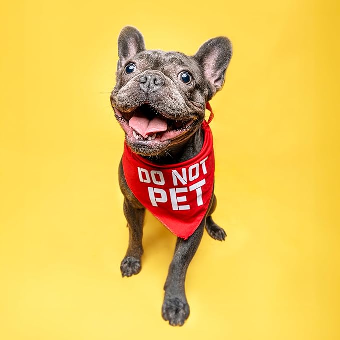 Do Not Pet Dog Bandana (Green, OS 157)
