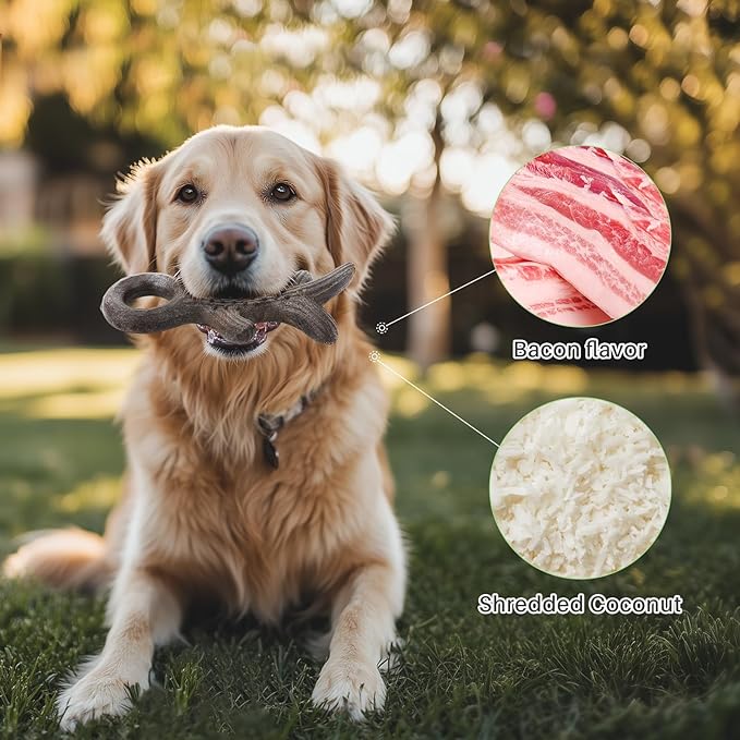 Gardner Pet 4-Pack Dog Chew Toy, Long Lasting Interactive Dog Toys Add Shredded Coconut Nylon+TPR,Teeth Cleaning and Training Toy for Medium/Large Breed,Bacon Flavor(Antler-L/S+Bone-S+Cookie)