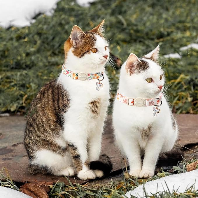 ARING PET 2 Pack Cat Collars-Cute Breakaway Cat Collar with Bell & Pendant, Adjustable Floral Pattern Female Kitten Collars with Safety Buckle for Girl and Boy Cats