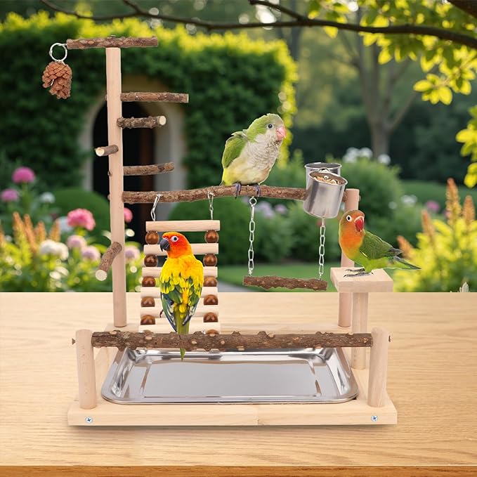 Wontee Bird Playground Wooden Bird Perch Stand Ladder Swing with Removable Tray & Feeding Cups for Budgies Parakeets Caique Senegal Cockatiels Conures