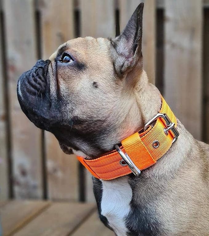 Heavy Duty Tactical Dog Collar - 1.5" Width Military Durable Thick Nylon with Adjustable Metal D Ring & Buckle Working Training K9 Collar for Medium Large Dogs (XL(23"-26"), Orange)
