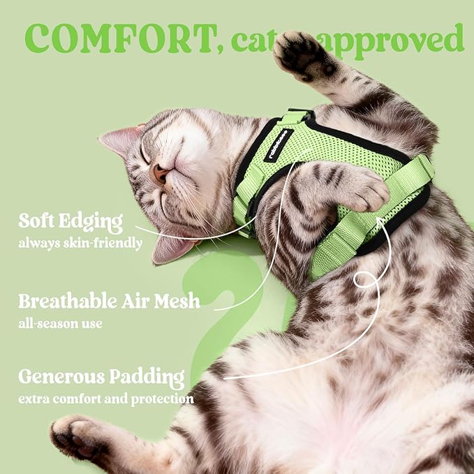 rabbitgoo Cat Harness and Leash for Walking, Escape Proof Soft Adjustable Vest Harnesses for Cats, Easy Control Breathable Reflective Strips Jacket, Light Green, S