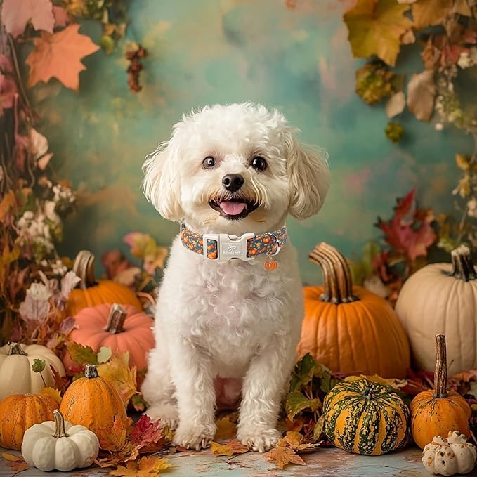 Fall Dog Collar Cute Autumn Pumpkin Puppy Collar - Light Comfortable Adjustable Pet Collars for Small Medium Large Girl Boy Dogs XL
