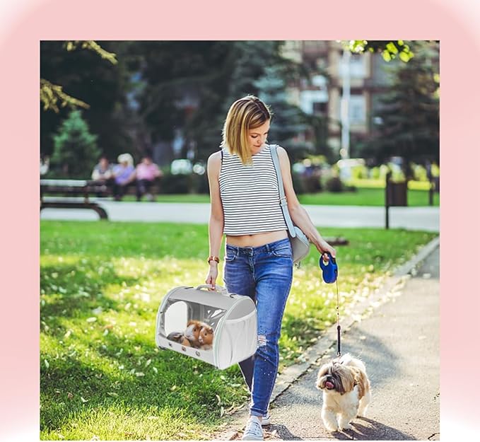 Bearded Dragon Travel Carrier Backpack,Lizard Backpack Carrier,Space Capsule Clear Bubble Window Astronaut Reptile Carrier Backpack for Guinea Pig,Sugar Glider,Bunny (Grey, TPU Carrier+MAT)