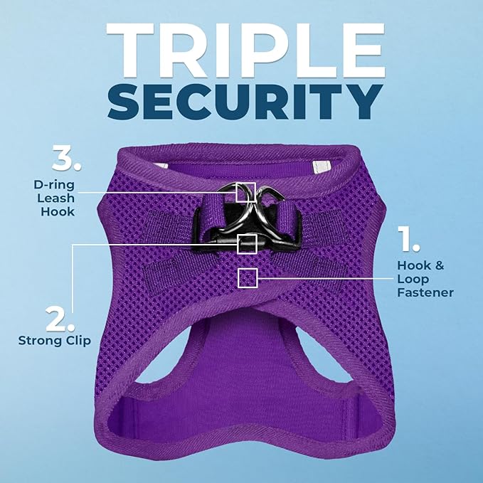 Best Pet Supplies Voyager Step-in Air All Weather Mesh Harness and Reflective Dog 5 ft Leash Combo with Neoprene Handle, for Small, Medium and Large Breed Puppies - Set (Purple), XXXS