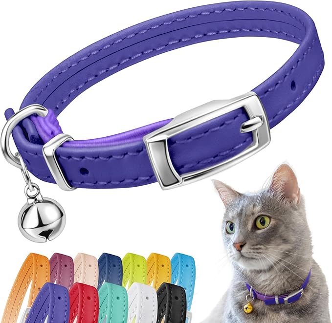 CollarDirect Leather Cat Collar with Bell - Kitten Collar, Small and Big Cat Collar for Boy Cats, Girl Cats with Safety Elastic Strap (Neck Fit 8"-11", Purple)