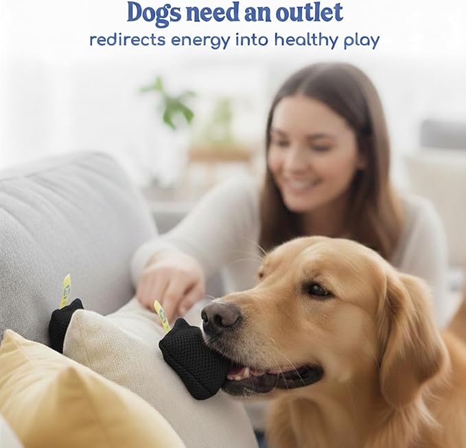 Race&Herd Original Dog Scent Training Kit, Scent Work Training Kit for Dogs - Nosework for Dog Mental Stimulation Agility Training Equipment for Dogs, Brain Games Smell Training Kit for Loss of Smell