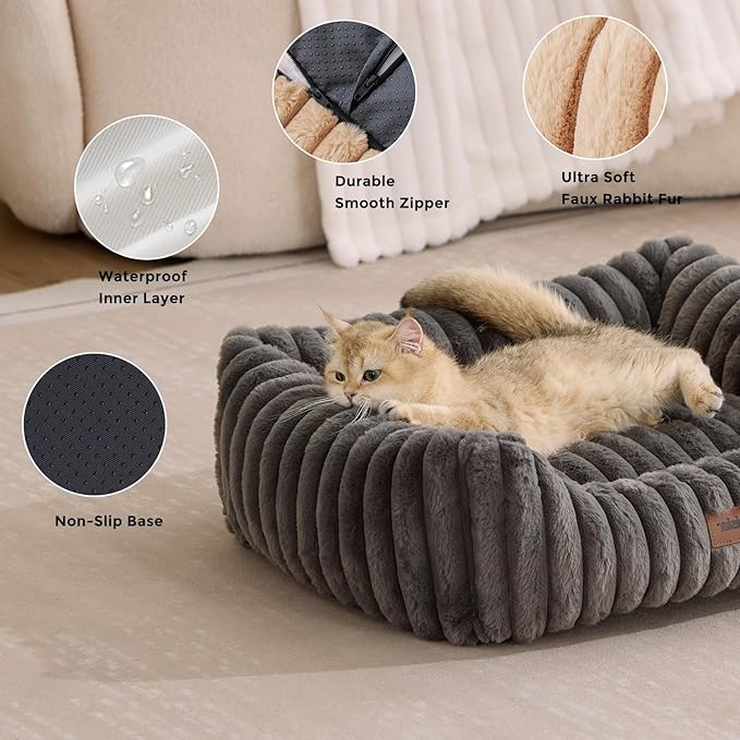 Small Dog Beds for Small Dogs - Washable Cat Beds for Indoor Cats, Rectangle Orthopedic Puppy Bed with Fluffy Removable Cover, 20x19x7inches, Cream