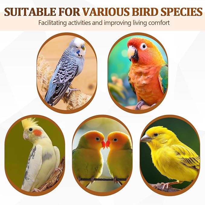 Sintuff 8 Pcs Bird Perches for Cage Accessories, Wooden Perch Rods Replacement with Double Head Slots, 0.6 Inch Diameter Natural Wood Stand for Parrot Macaw Cockatoo Parakeet(30 Inches)