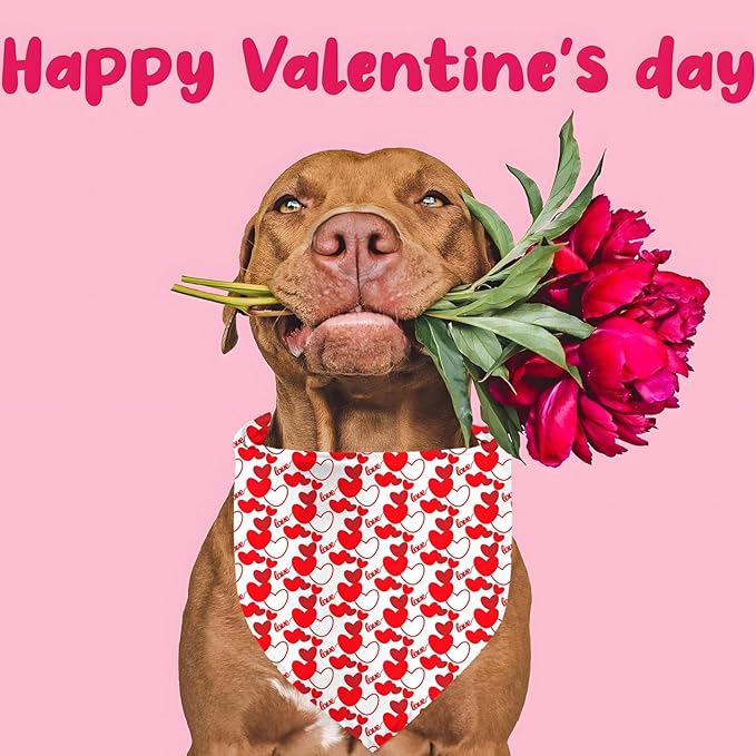 Valentines Dog Bandanas, 2 Pack Mother's Day Triangle Dog Bandanas, Reversible Love and Heart Pet Scarf, Premium Durable Fabric, Boys and Girls, Holiday Bandana for Large and Extra Large Dogs