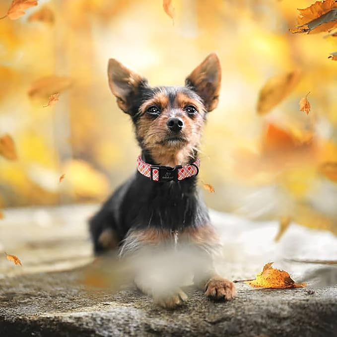 Fall Dog Collar, Fall Orange and Red Plaid Puppy Collar, Adjustable Cotton Holiday Tanksgiving Dog Collars for Small Medium Large Boy&Girl Dogs XL