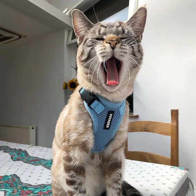 Voyager Escape-Proof Step-in Lock Cat Harness & 5ft Neoprene-Handle Leash Set All-Weather Mesh with Reflective Stitching for Small to Large Cats by Best Pet Supplies, Baby Blue, XS