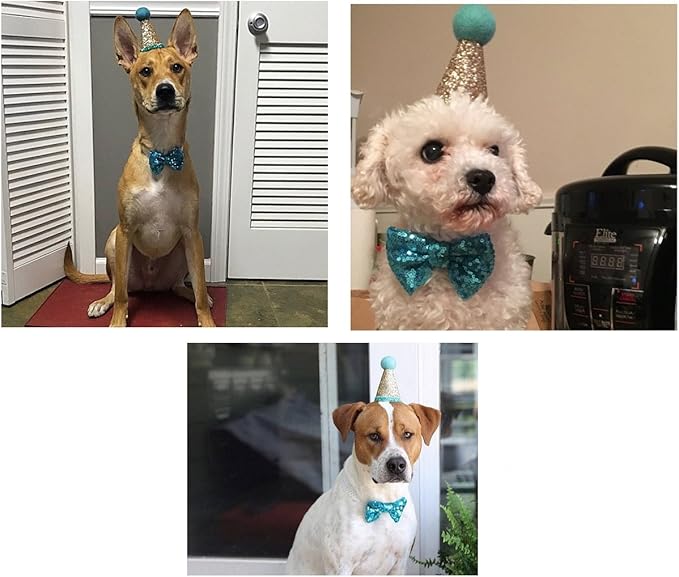 CheeseandU Pet Cute Birthday Party Cone Hat and Bow tie Collar Set with Adjustable Headband and Pom-poms Topper for Small Medium Dogs Cats Pets Valentines Day Hat Collar Costume, Blue