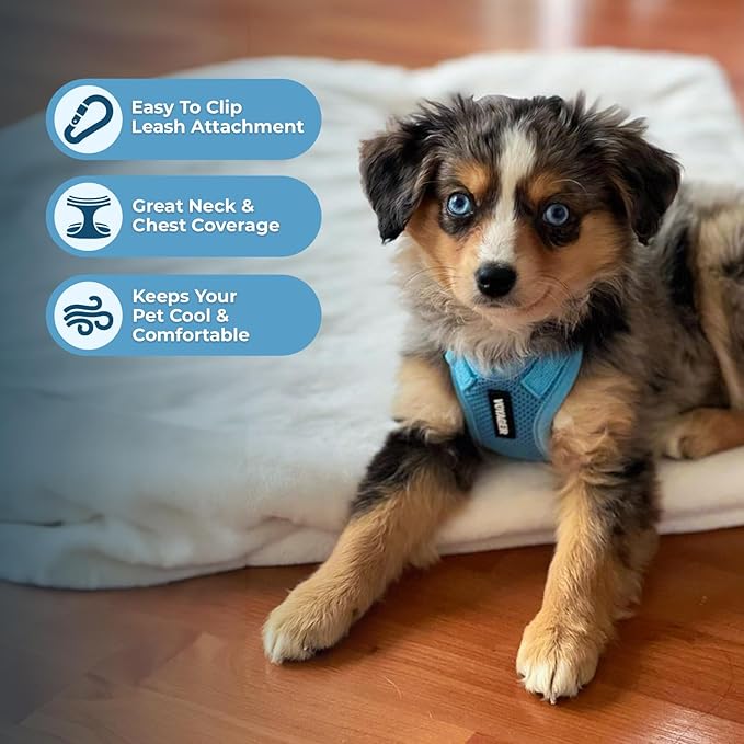Voyager Step-in Pet Harness - All Weather Mesh, Adjustable Step in Harness for Cats and Dogs by Best Pet Supplies - Baby Blue, M