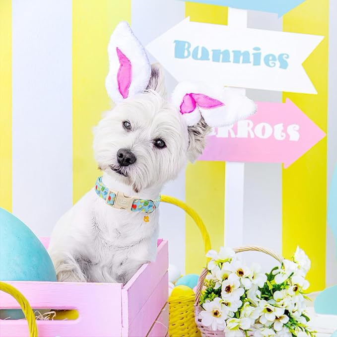 Easter Day Dog Collar, UP URARA PUP Easter Bunny Adjustable Pet Collar with Quick Release, Colorful Rabbits Dog Collars for Small Medium Large Dogs