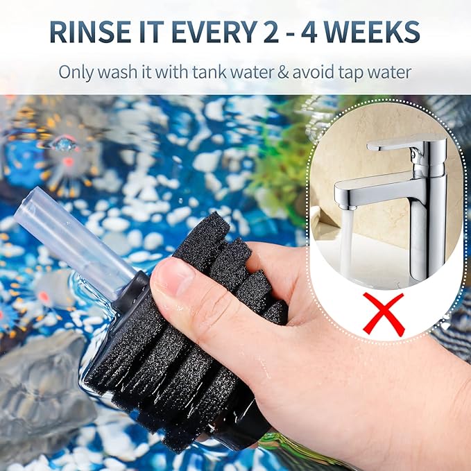 Pawfly Corner Sponge Filter Nano Quiet Betta Fry Shrimp and Small Fish Bio Foam Filter for Tiny Aquariums and Fish Tanks up to 10 Gallons (Air Pump Not Included)