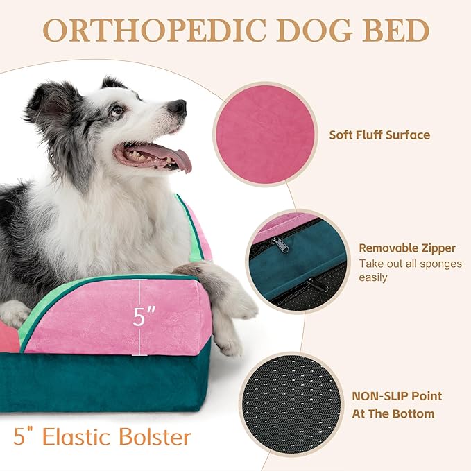 Comfort Expression Orthopedic Dog Bed for Extra Large Dogs 45x35 Inch, Waterproof Egg Crate Foam XL Pet Bed with Removable Bolsters, Dog Couch with Washable Cover & Non-Slip Bottom, Mint-Berry Dream