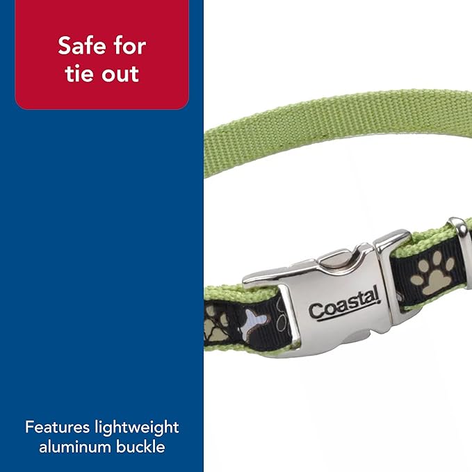 Coastal Pet - Ribbon - Adjustable Dog Collar with Metal Buckle, Yellow Buttercup, 5/8" x 8"-12"