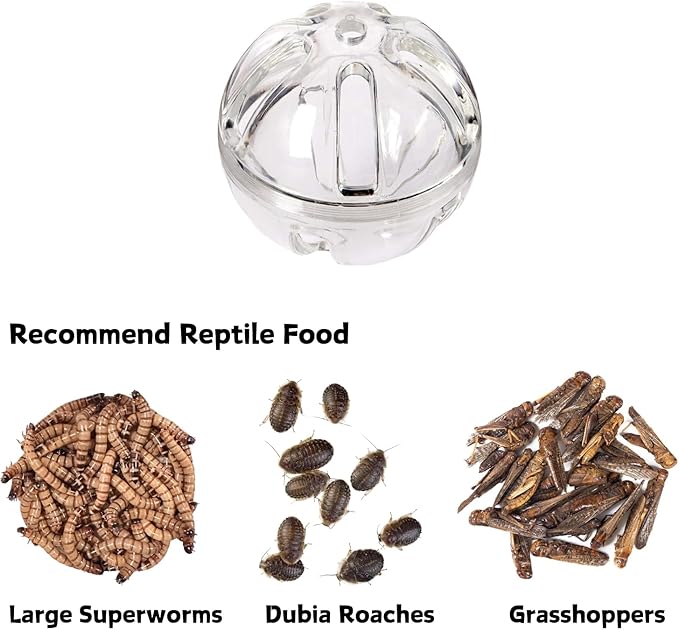 Bearded Dragon Feeder Toy Reptile Foraging Ball Lizard Enrichment Interactive Toy Reptile Terrarium Tank Decor for Lizard,Chameleon Small Animals (3.4 Inch)