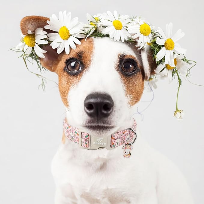 Easter Dog Collar for Medium Dogs - Pink Girly Bunny Dog Collars, Cute Girl Dogs Easter Collar, Adjustable Female Spring Holiday Pet Collars with Quick Release Buckle M
