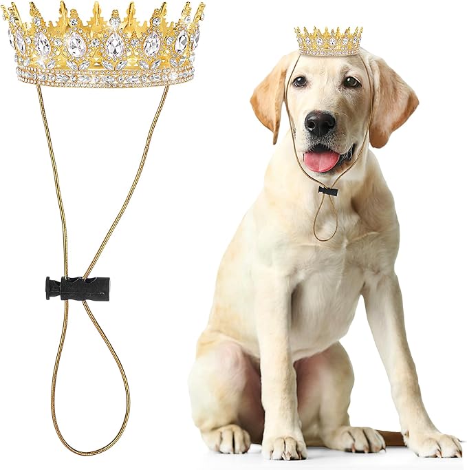 Abbylike Pet Rhinestone King Crown, Queen Crown for Birthday New Year Costume for Small Dog Cat Cosplay Party Accessories Adoption Celebration Wedding Birthday Photos Prop Costume(White,Large)