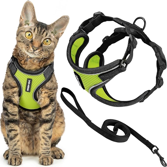 Voyager Escape-Proof Step-in Lock Cat Harness & 5ft Neoprene-Handle Leash Set All-Weather Mesh with Reflective Stitching for Small to Large Cats by Best Pet Supplies, Black Trim-Lime (327), XS