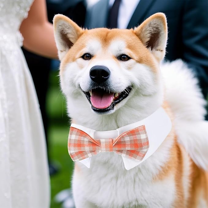 Segarty Dog Bow Tie, Adjustable Orange Plaid Bowtie Collar for Neck Girth 12.6-15.7in, Large Dog Tie Tuxedo Comfortable Cotton Boy Pets Grooming Accessories for Formal Wedding Holiday Birthday Party