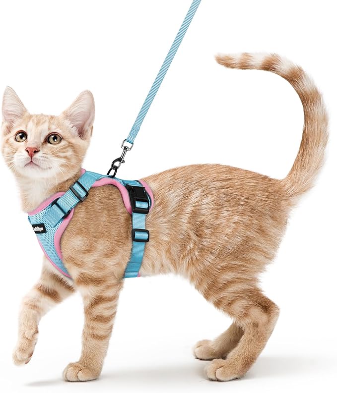 rabbitgoo Cat Harness and Leash for Walking, Escape Proof Soft Adjustable Vest Harnesses for Cats, Easy Control Breathable Reflective Strips Jacket, Light Blue&Pink, XS