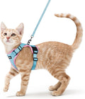 rabbitgoo Cat Harness and Leash for Walking, Escape Proof Soft Adjustable Vest Harnesses for Cats, Easy Control Breathable Reflective Strips Jacket, Light Blue&Pink, XS