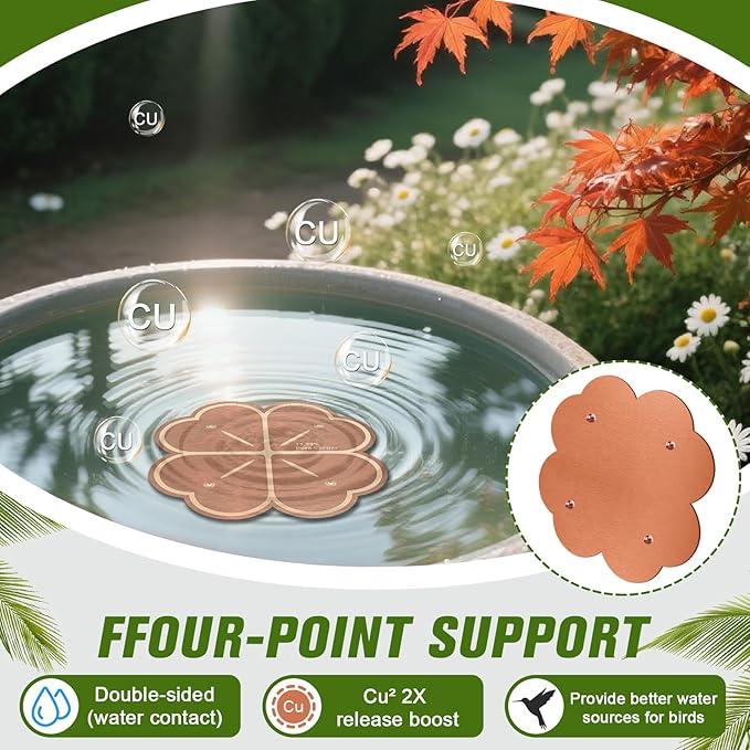 Bird Bath Copper Disk,Four-Point Support Design 99.99% Pure Copper Cleaning Disk 1 mm Thick Universal fit for Outdoor Bird Baths, Physical Safe Providing Clean Water for Bird Bowls All-Season