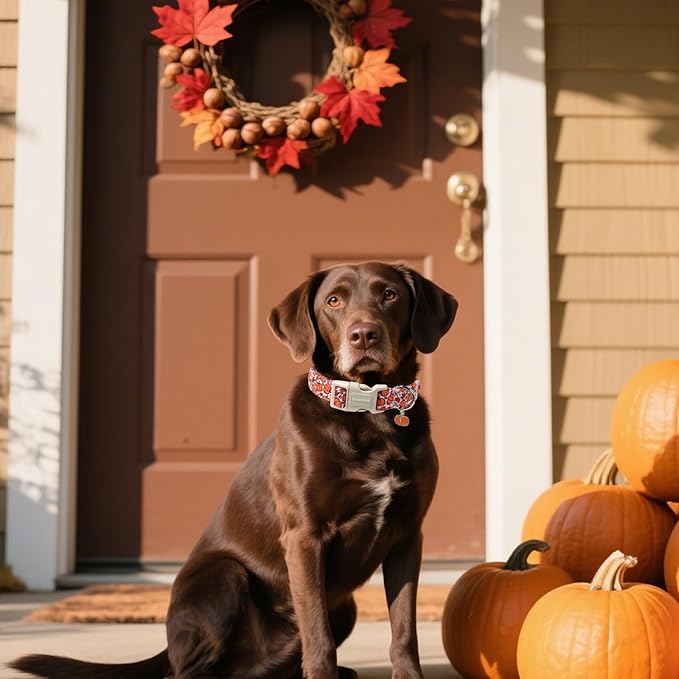 DOGWONG Pumpkin Dog Collar- Cute Pink Fall Dog Collars Adjustable Maple Fall Dog Collar for Small Medium Large Dogs L