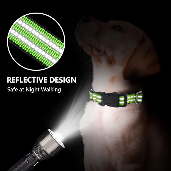 Martingale Dog Collar, Adjustable Nylon Reflective Collar with Buckle No Pull Dog Collar for Small Medium Large Dogs (Lime Green Large)