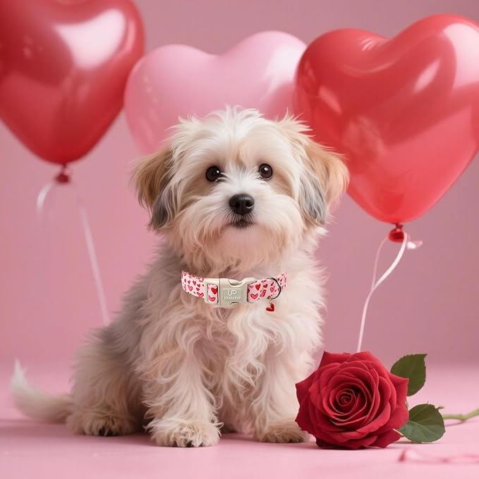Valentine's Dog Collar, UP URARA PUP Pink Heart in Red Adjustable Pet Collar with Bowknot Charm, Wedding Dog Accessories for Small Medium Large Dogs