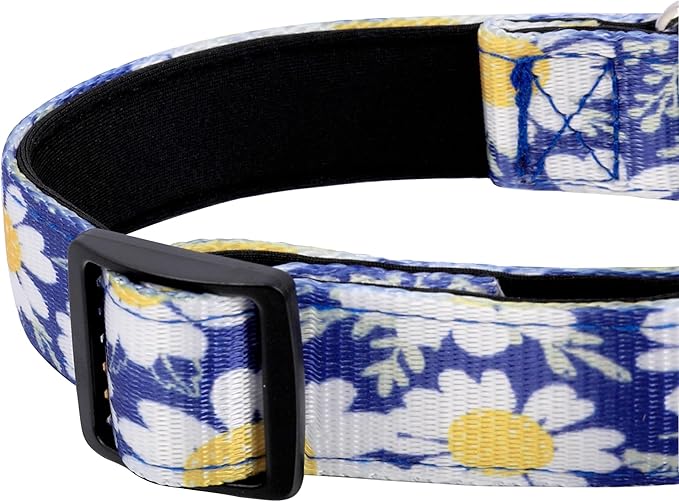 Reflective Dog Collar, Adjustable Soft Neoprene Padded Nylon Pet Collars with Buckle for Puppy and Small Dogs, Cats, Small Daisies Blue,M