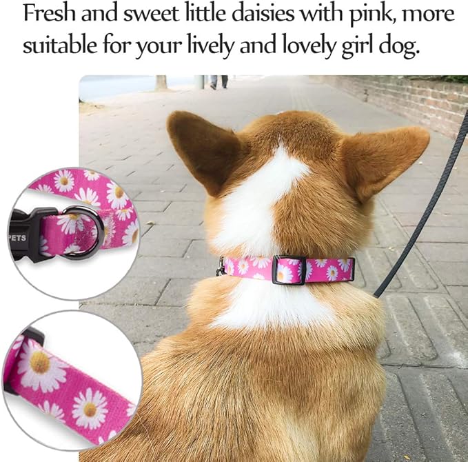 QQPETS Adjustable Soft Dog Collar: Print Flower Pink Multicolor Cute Patterns for XS Small Medium Large Pet Girl Boy Puppy Walking Running Training (M, Small Daisies)