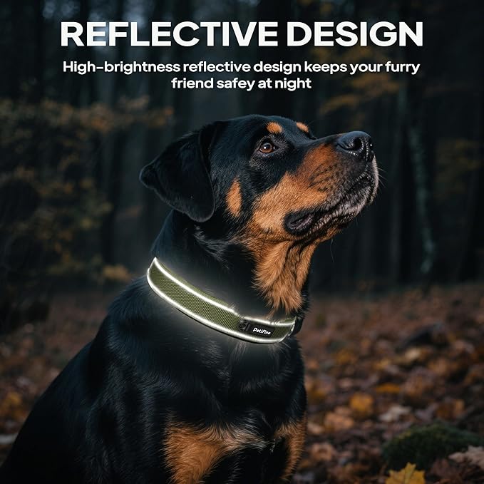 PetiFine Dog Collars for Medium Dogs, Neoprene Padded and Adjustable, Reflective Wide Heavy Duty Pet Collars with Durable Metal Belt Buckle for Walking, Green, M