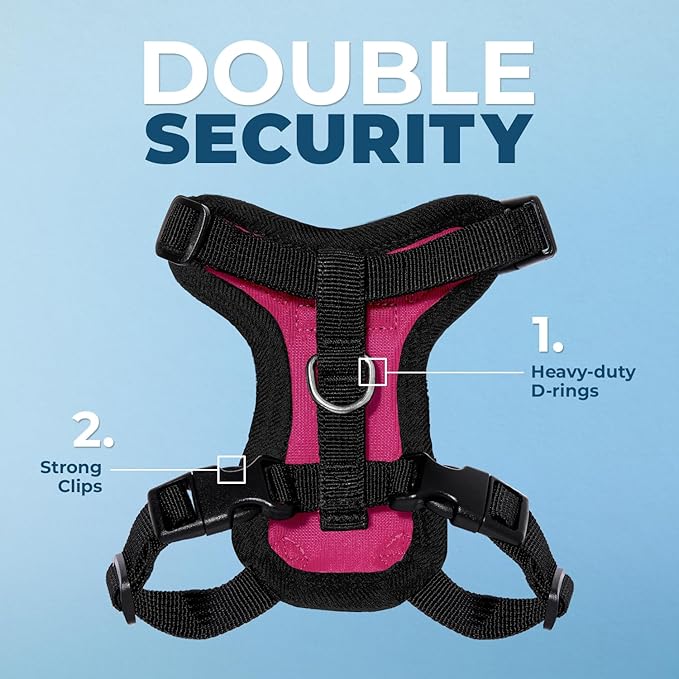 Voyager Escape-Proof Step-in Lock Cat Harness & 5ft Neoprene-Handle Leash Set All-Weather Mesh with Reflective Stitching for Small to Large Cats by Best Pet Supplies, Fuchsia/Black Trim, XS