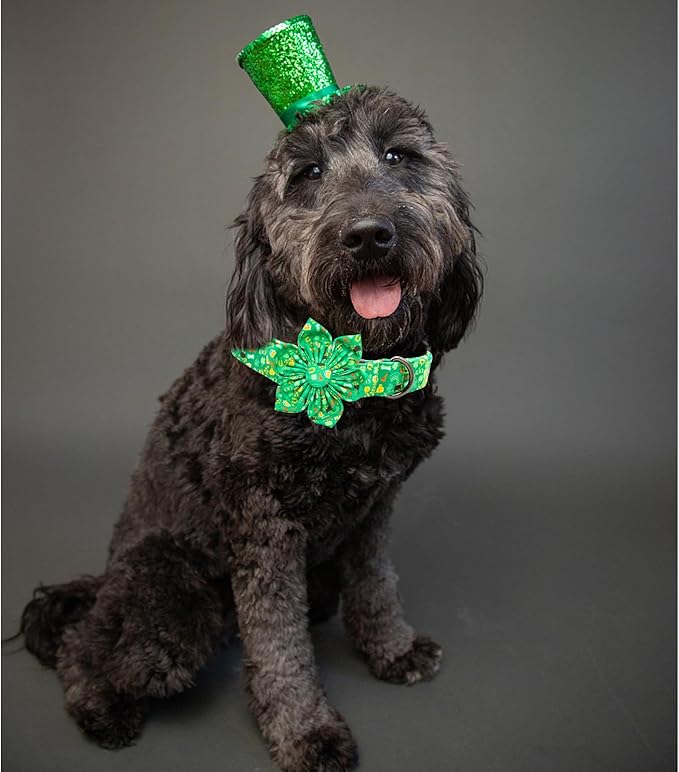 Lionheart glory St. Patrick's Day Dog Collar with Flower Dog Collars for X-Large Dogs,Heavy Duty Green Collars Bows Lucky Clover Shamrock Pet Collar Flower Puppy