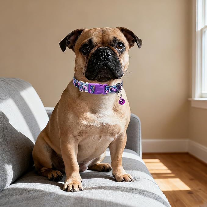 Cute Puppy Collar with Bell-Nylon Dog Collar for Small Breeds, Adjustable XXS XS Tiny Pet Little Dogs Girl Kitten Female Small Animal, for Puppies Purple Flowers X-Small