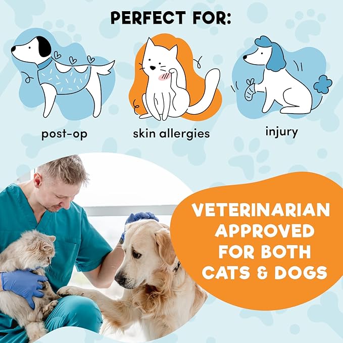 BENCMATE Inflatable Dog Cone Collar Alternative, Soft Dog Cone for Small Medium Large Dogs and Cats, Neck Recovery ECollar Donut Collar After Surgery (XXLarge, Purple)