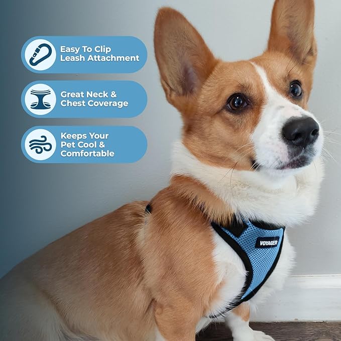 Voyager Step-in Pet Harness - All Weather Mesh, Adjustable Step in Harness for Cats and Dogs by Best Pet Supplies - Baby Blue/Black Trim, L