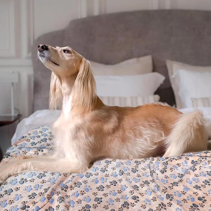 Dog Blankets for Large Dogs, 3 Pcs Dog Blanket Washable, Soft Fluffy Flannel Pet Blanket Mat Cover for Bed Couch, Cute Print Puppy Blanket 60" x 50"