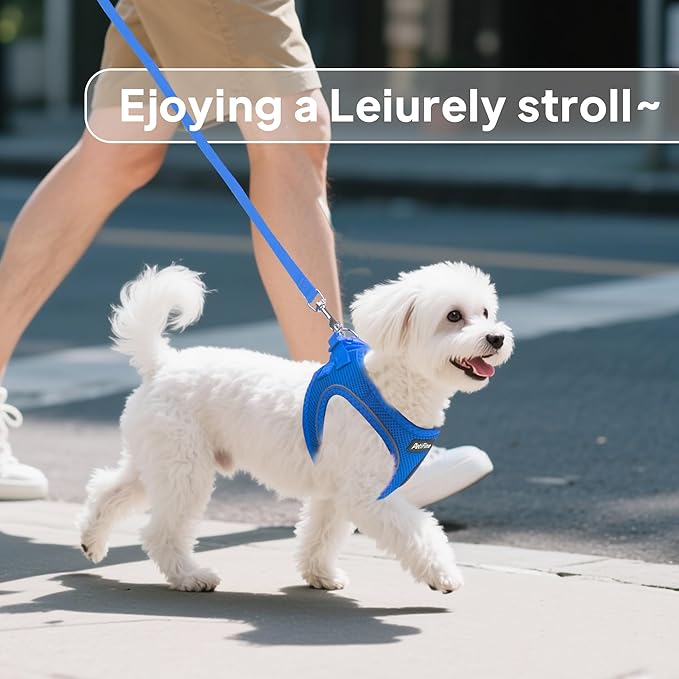 PetiFine Step in Small Dog Harness and Leash Set, Breathable All Weather Air Mesh Reflective Escape Proof, Step-in Vest Harnesses for Puppy(S, Baby Blue)