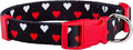 Native Pup Valentine’s Dog Collar- Valentines Day Pet Collars- Valentine Girly Hearts- Pink Red Heart- Cute Boy Girl Puppy Gift- Adjustable for Small, Medium, Large Breeds (White & Red Hearts, Large)