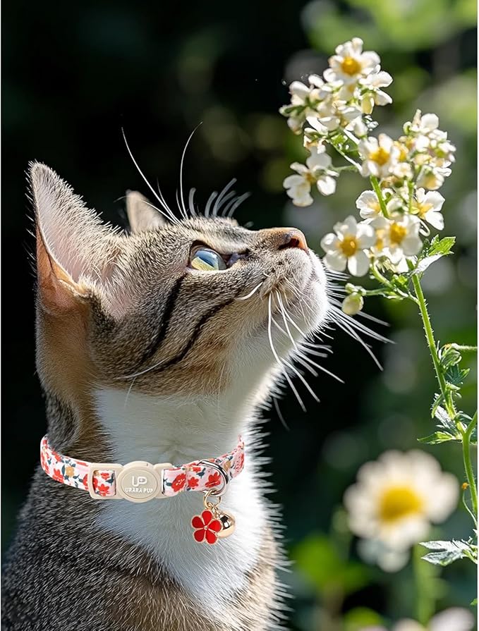 Cat Collar,2Pack Summer Cat Collars Cute Breakaway,Spring Green Leaf Flower Kitten Collar with Bell, Kitty Collars with Safety Buckle for Girl & Boy Cats