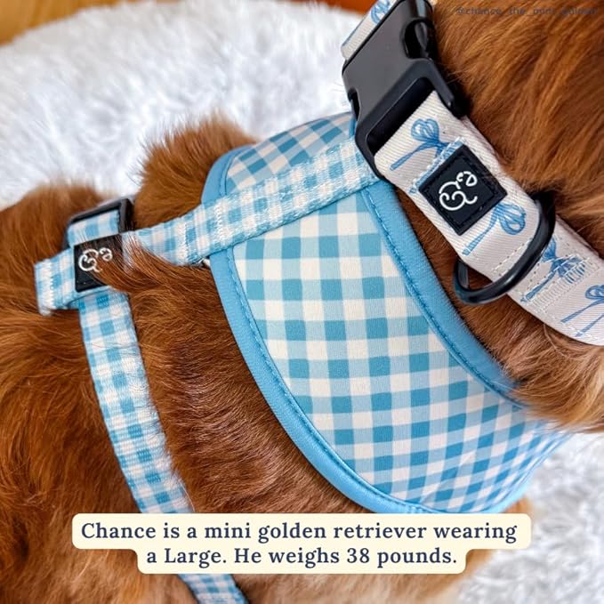 Lucy & Co. Dog Collar - Durable Lightweight Designer Collar for Pets - Adjustable Metal Safety Buckel - Small - White with Blue Bows