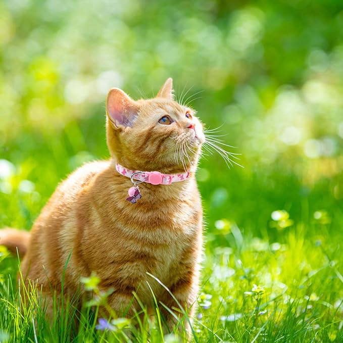 SCENEREAL Breakaway Cat Collar with Bells, 3 Pack Spring Pink Cats Collars with Safety Buckle, Soft Adjustable Cute Kitten Puppy Personalised Summer Collars for Dogs Girl Boy